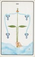 4 of Cups